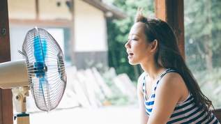 ここ十年は本当に酷暑「昔はクーラーなんて贅沢品」「昭和がこんな気候だったら、皆バタバタ倒れていた」→「昭和の気温はもっと低かった」「運動中の水分補給禁止」「朝の涼しいうちに宿題は今はムリ」昭和時代の夏のエピソード集まる